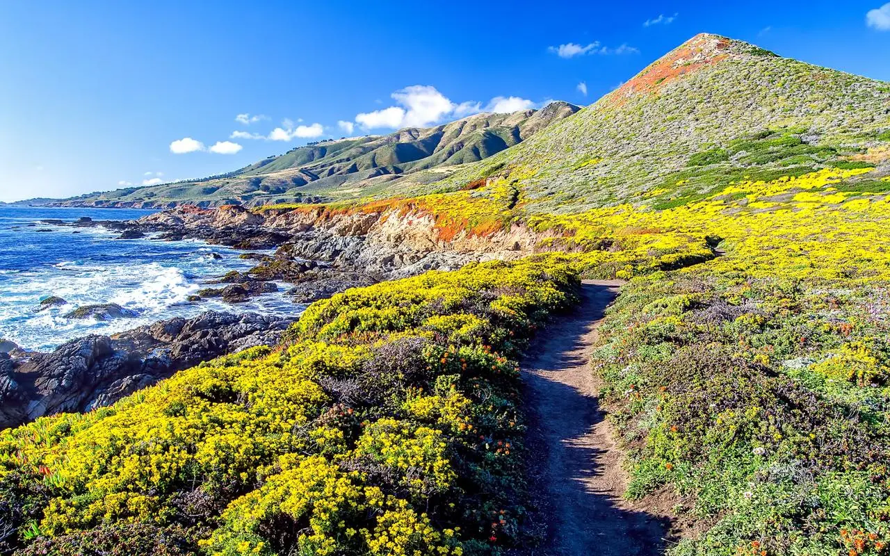 智慧工厂全自动